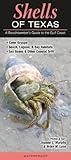 Shells of Texas: A Beachcomber’s Guide to the Gulf Coast (Common and Notable Species)