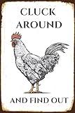 Funny Chicken Coop Sign 'Cluck Around And Find Out' Vintage Metal Tin for Chicken Coop Home Yard Indoor Outdoor Chickens Plaque Wall Decor Art Gift for Chicken Lover- 12x8 Inch (White)