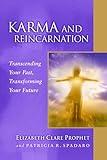 Karma and Reincarnation: Transcending Your Past, Transforming Your Future (Pocket Guides to Practical Spirituality)