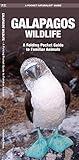 Galapagos Wildlife: A Folding Pocket Guide to Familiar Animals (Wildlife and Nature Identification)