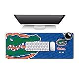 YouTheFan NCAA Florida Gators Logo Series Desk Pad SMU