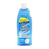 Clorox Fraganzia Liquid Dish Soap Smells Great and Cuts Through Tough Grease FAST Quick Rinsing Formula Washes Away Germs A Powerful Clean You Can Trust, Morning Sky 22 Fl Oz