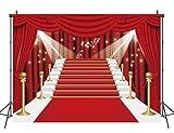 INRUI Red Curtain Stage Photography Background Red Carpet Film Red Curtain Stars Celebrity Party Banner Backdrop (8x6FT)