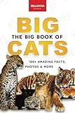 The Big Book of Big Cats: 100+ Amazing Facts About Lions, Tigers, Leopards, Snow Leopards & Jaguars (Animal Books for Kids)