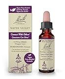 Bach Original Flower Remedies, Water Violet for Connecting with Others (Non-Alcohol Formula), Natural Homeopathic Flower Essence, Holistic Wellness and Stress Relief, Vegan, 10mL Dropper