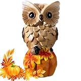 Moucuny Fall Harvest Owl Decorations Resin Fall Owl Sculpture Centerpieces Thanksgiving Table Decor Country Style Thanksgiving Owl on Pumpkin Autumns Fall Thanksgiving Home Garden Holiday Decor