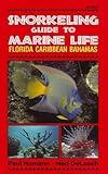 Snorkeling Guide to Marine Life Florida, Caribbean, Bahamas