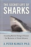 The Secret Life of Sharks: A Leading Marine Biologist Reveals the Mysteries of Shark Behavior