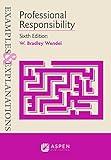 Professional Responsibility (Examples & Explanations)