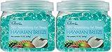 Clear Air Odor Eliminator Gel Beads - 12 oz, Pack of 2 - Air Freshener Made with Essential Oils - Eliminates Odors in Bathrooms, Cars, Boats, RVs & Pet Areas - Hawaiian Breeze Scent