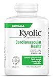 Kyolic Aged Garlic Extract Formula 100, 300 Capsules