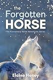 The Forgotten Horse - Book 1 in the Connemara Horse Adventure Series for Kids. The perfect gift for children age 8-12. (Connemara Adventures)