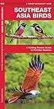 Southeast Asia Birds: A Folding Pocket Guide to Familiar Species (Wildlife and Nature Identification)