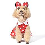 Disney for Pets Minnie Mouse Halloween Costume for Dogs - Small | Disney Halloween Dog Costumes, Funny Pet Costumes | Officially Licensed Disney Dog Halloween Costume,Red