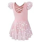 DIPUG Ballet Leotards for Girls with Skirt Shiny Toddler Dance Leotard Butterfly