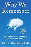 Why We Remember: Unlocking Memory's Power to Hold on to What Matters