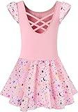 DANSHOW Ballet Leotards for Girls Dance Skirted Leotard Kids Ballet Tutu Dress Toddler Shiny Ruffle Sleeve Dancewear(40431-08-M)