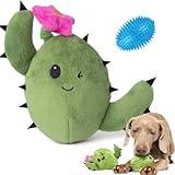 Barkbox 2 in 1 Interactive Plush Dog Toy - Rip and Reveal Toy for Dogs and Puppies - Stimulating Squeaky Pet Toys | Consuela Cactus (Large)