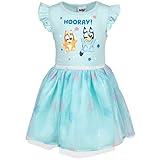 Bluey Bingo Toddler Girls Dress 5T Blue