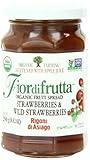 Rigoni di Asiago Fiordifrutta Organic Strawberry Fruit Spread, 8.82 Ounce (Pack of 1), Strawberry