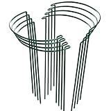 HiGift 8 Pack Plant Support Stakes, Half Round Metal Garden Plant Stake Indoor Peony Cages and Supports, Green Plant Support Ring Border for Tomato,Hydrangea,Flower Outdoor (10" Wide x 15.8" High)