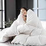 WhatsBedding White Queen Size Feather Down Comforter, Filled with Feather and Down, All Season Duvet Insert, Luxury Hotel Bedding Style Comforter,Ultra Soft 100% Cotton