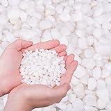 HOT SEAL 1.9 LB White Aquarium Gravel Pebbles 3/8", Natural Decorative Aquarium Substrate Small River Rocks, Mini Pebbles Stone for Fish Tank, Aquatic Plant Bonsai, Hydrophyte