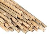 Plant Stakes Natural Garden Bamboo Sticks for Indoor and Outdoor Plants,GAGINANG 20pcs Plant Support Stakes for Tomatoes, Beans, Potted Plants - 18 inches