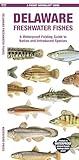 Delaware Freshwater Fishes: A Folding Guide to Native and Introduced Species (Pocket Naturalist Guide)