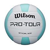 Wilson Pro Tour Indoor Volleyball - Official Size, Teal/White