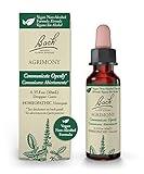 Bach Original Flower Remedies, Agrimony for Open Communication (Non-Alcohol Formula), Natural Homeopathic Flower Essence, Holistic Wellness and Stress Relief, Vegan, 10mL Dropper