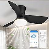 Ceiling Fans with Lights: 30 Inch Low Profile Ceiling Fans with Lights and Remote & APP Control Quiet Reversible 3 Colors Dimmable 6 Speeds Flush Mount Small Black Ceiling Fan for Bedroom Bathroom