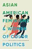 Asian American Feminisms and Women of Color Politics (Decolonizing Feminisms)