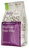 Kelp Bliss (1lb) - All-Natural Kelp Meal Fertilizer for Plants - Natural Kelp Fertilizer & Soil Amendment with 70+ Minerals & Nutrients - Improves Nutrient Uptake & Water Retention