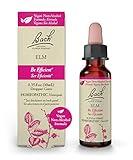 Bach Original Flower Remedies, Elm for Efficiency & Self-Assurance (Non-Alcohol Formula), Natural Homeopathic Flower Essence, Holistic Wellness and Stress Relief, Vegan, 10mL Dropper