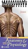 Pocket Anatomy & Physiology