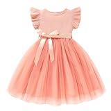 Sinhoon Toddler Girl Tulle Dress Summer Ruffle Sleeveless Baby Girl Fashion Casual Dresses(dusty rose,9-12M)