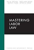 Mastering Labor Law (Mastering Series)