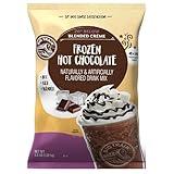 Big Train 20 Below Frozen Hot Chocolate Beverage Mix, 3.5 Pound (Pack of 1)