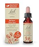 Bach Original Flower Remedies, Aspen for Apprehension and Security (Non-Alcohol Formula), Natural Homeopathic Flower Essence, Holistic Wellness and Stress Relief, Vegan, 10mL Dropper