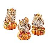 Collections Etc Hand-Painted Autumn Owl Sitters - Set of 3