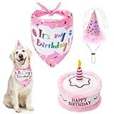 EXPAWLORER Dog Birthday Bandana Set - Cute Hat and Squeaky Cake Toy for Birthday Party Supplies Gift - Great for Small Medium Large Dogs, Pink X-Large