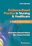 Evidence-Based Practice in Nursing & Healthcare: A Guide to Best Practice