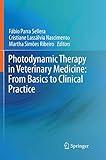 Photodynamic Therapy in Veterinary Medicine: From Basics to Clinical Practice