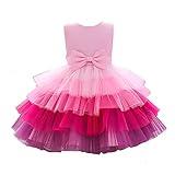 Flower Baby Girl Lace Dress Toddler Tulle Sleeveless Bow Princess Party Wedding Pageant Bridesmaid (Pink.4-5 T)