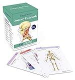 Anatomy Flashcards: 300 Flashcards with Anatomically Precise Drawings and Exhaustive Descriptions + 10 Customizable Bonus Cards and Sorting Ring for Custom Study