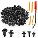 100 PCS Car Bumper Retainer Clips, 6 Type Nylon Fasteners Rivet Replacement Kit, Push-in Screw Bumper Push Rivet Clip with 5 Fastener Removers, Suitable for Many Brands of Vehicles