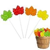 Maple Leaf Candy Lollipops - 24 Fall Suckers Individually Wrapped Bulk (24 count, Grapefruit, Lemon, Apple, Cinnamon)