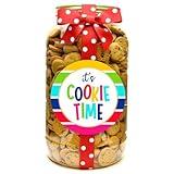 Nam's Bits Chocolate Chip Cookies - Cookie Time Gallon Jar - HSCT