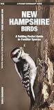 New Hampshire Birds: A Folding Pocket Guide to Familiar Species (Wildlife and Nature Identification)